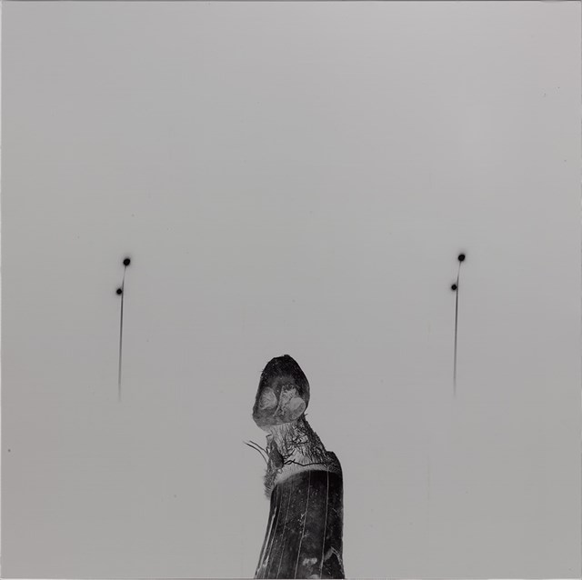 流木－路燈與側坐者
