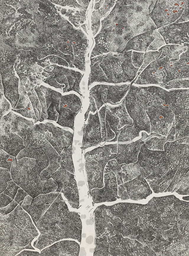 冷水坑的一棵樹3
