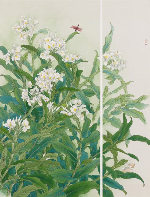 野薑花