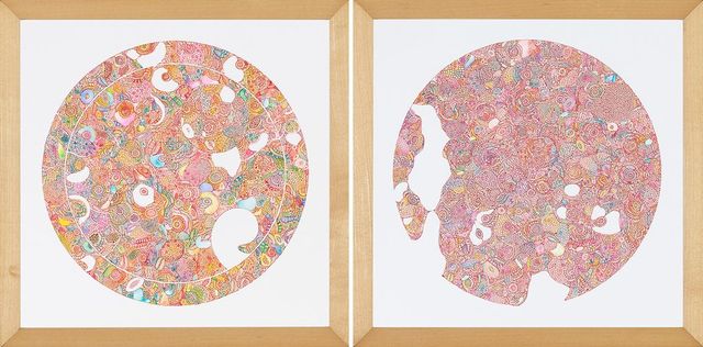 微型宇宙2013