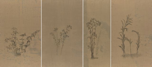 盛夏的野草
