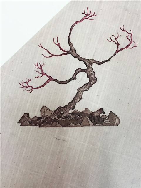 致 斑馬先生