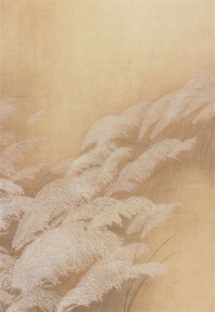 一個秋天的午後