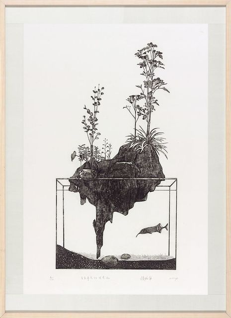 有象鼻魚的造景缸