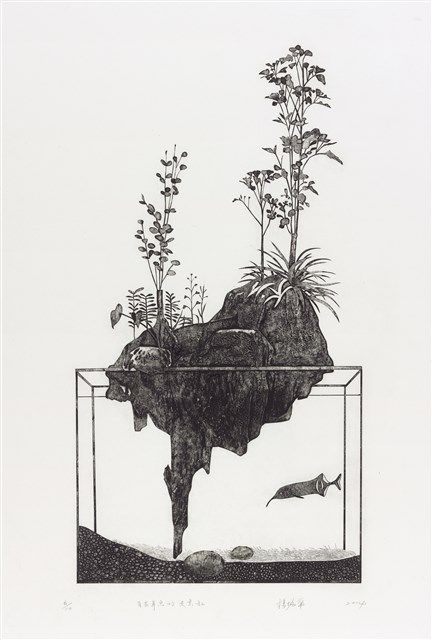有象鼻魚的造景缸