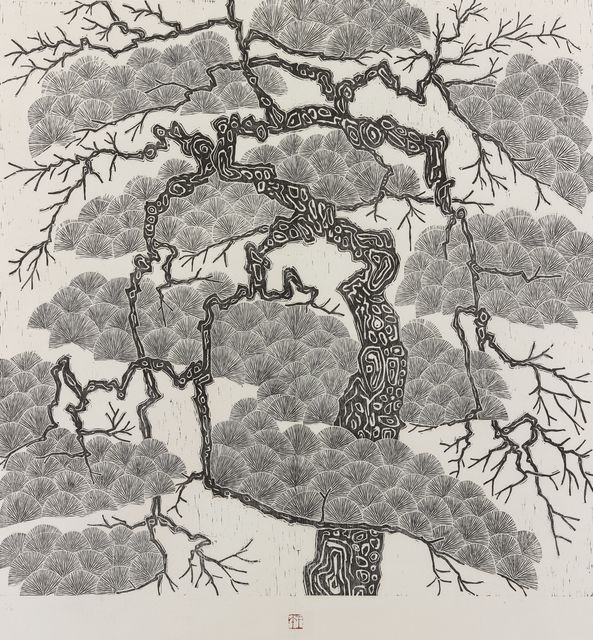 萬年松