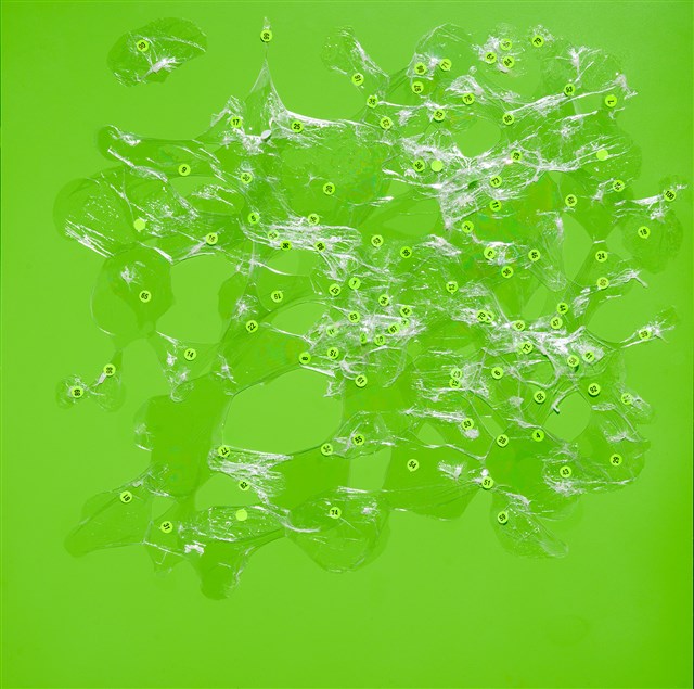 1.2.3…100(red yellow green)