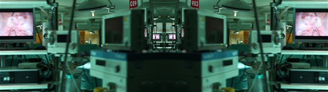 SH-SY5Y