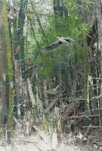 竹林悠遊