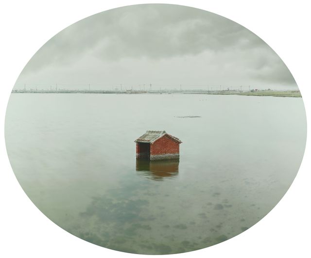 台灣水没—雲林口湖成龍農田(濕地)