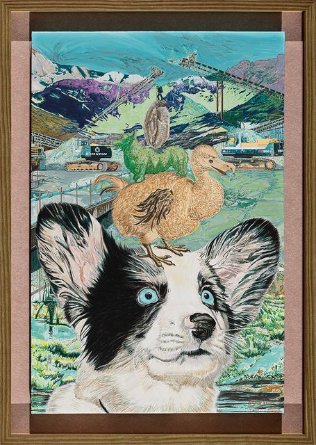 野心時代：渡渡鳥