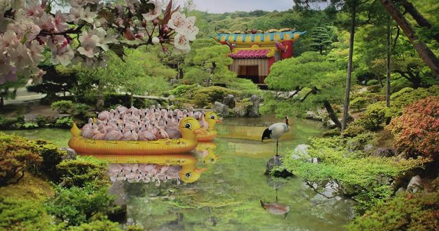 編碼者 – 迷戀鏡花的水手