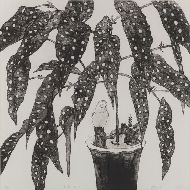 星葉海棠