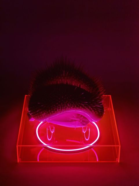 海兔-刺