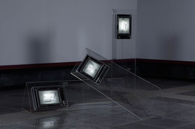 虫1~3