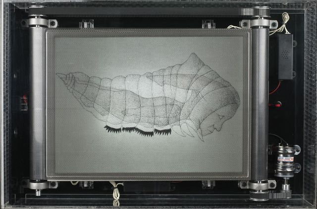 虫1~3