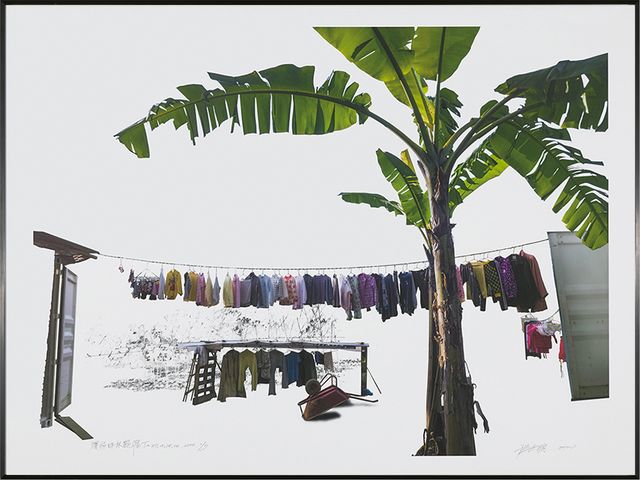 繽紛坪林艷陽下〈WP_15_25_34〉