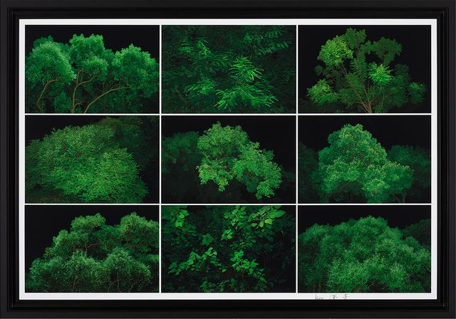 夜的呼吸(綠色)