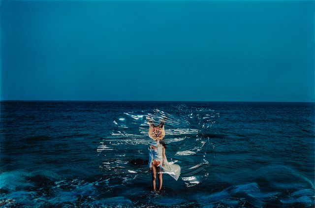 再見，狐狸-15