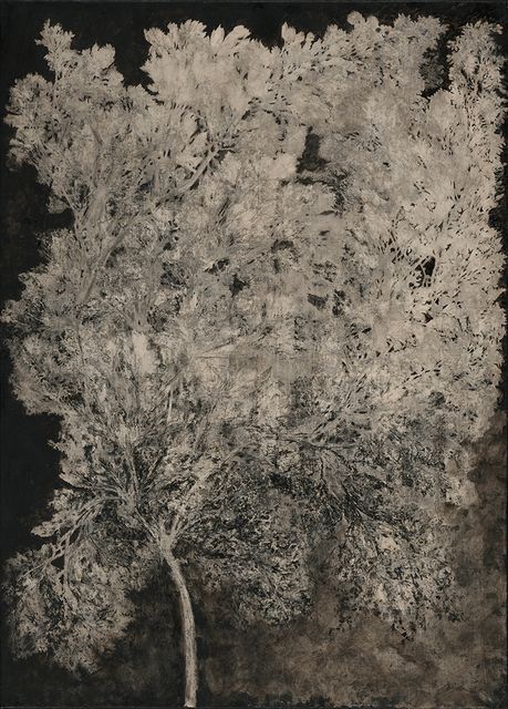 植物史-10
