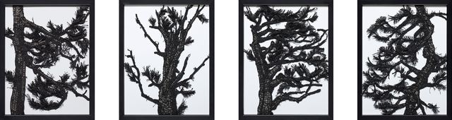 松影之紙線素描系列