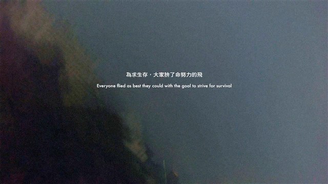 夜間飛行