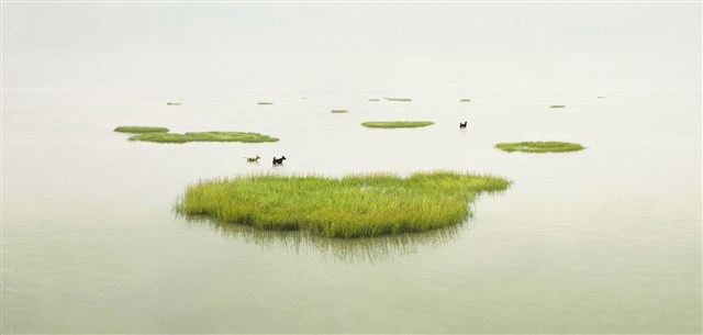 台灣土狗 Taiwan TO GO –向李俊賢致敬NO：002