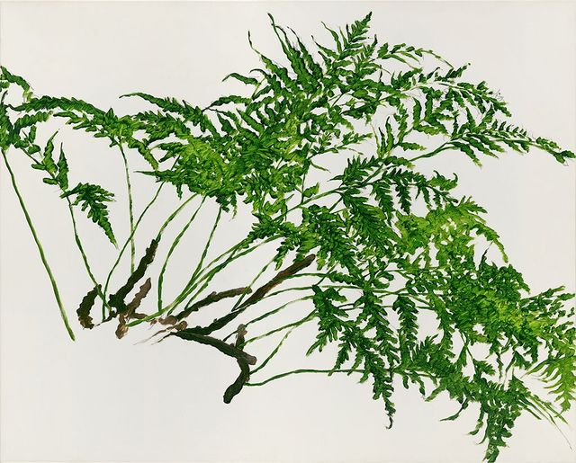 植物習作 I