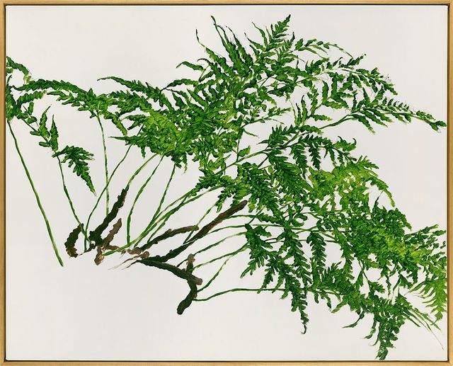 植物習作 I