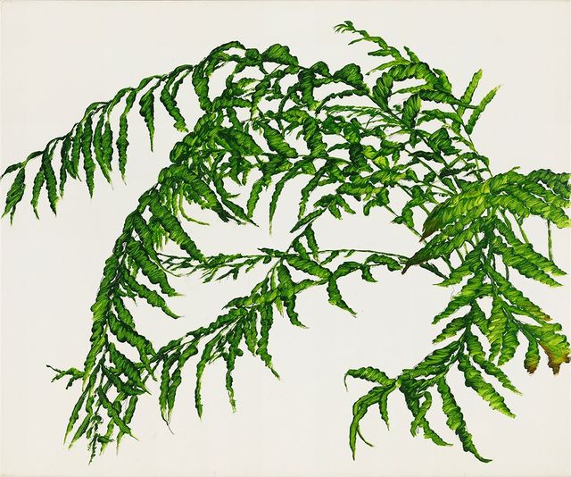植物習作 II