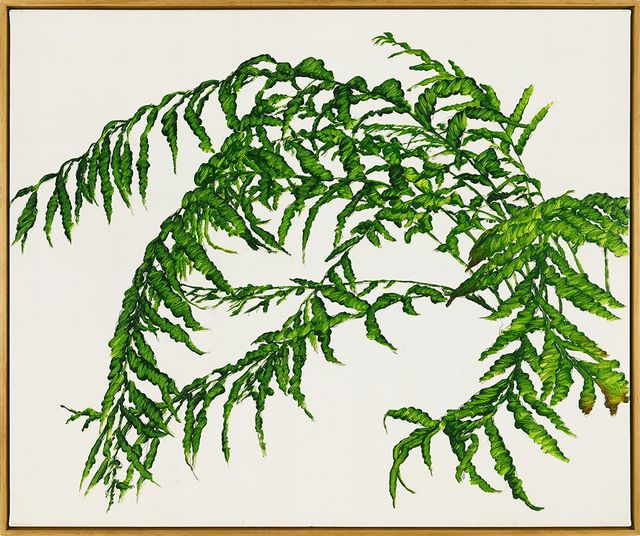 植物習作 II
