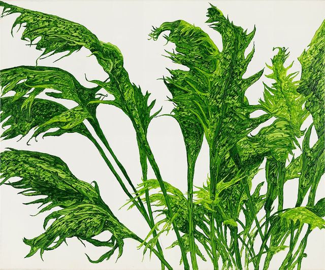 植物習作 IV