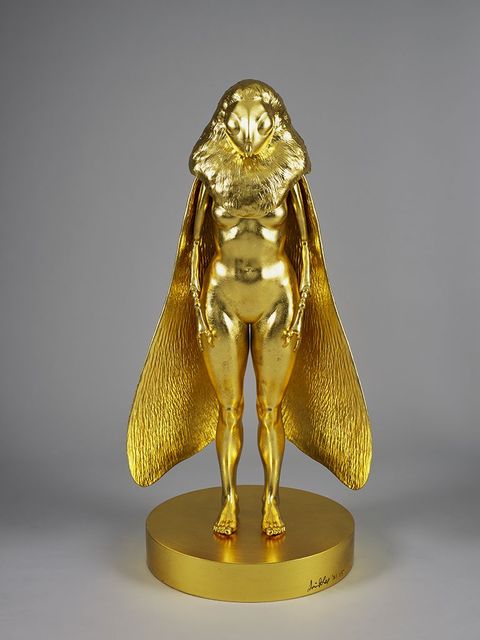 人蛾