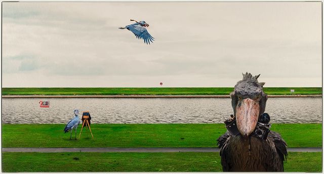 河堤的逆襲：以自然為名