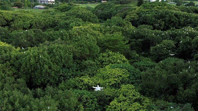 登陸
