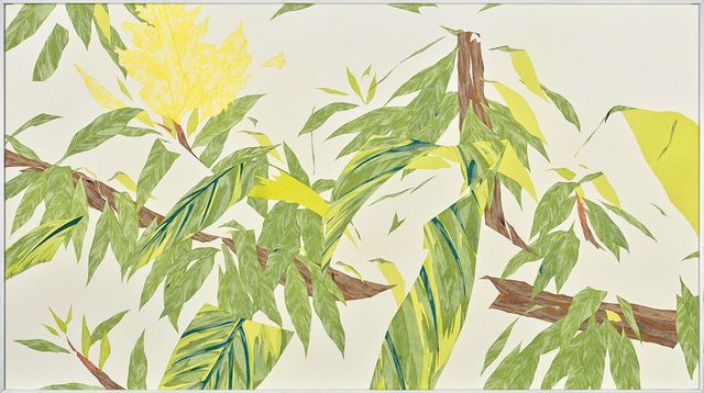 泡花樹00