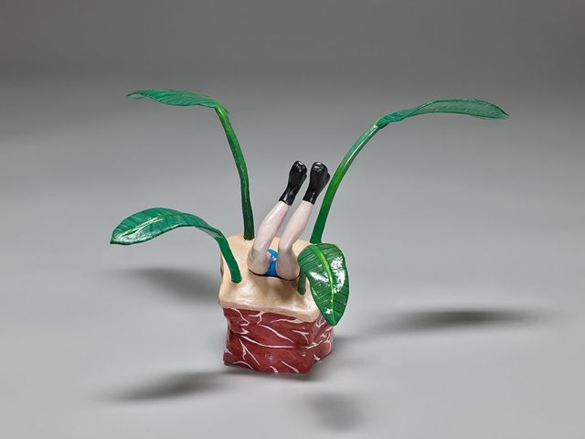 《倒插人》植栽系列-天堂鳥