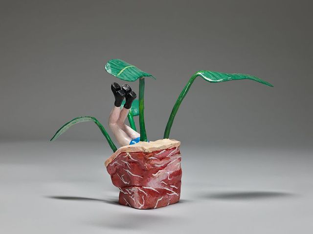 《倒插人》植栽系列-天堂鳥