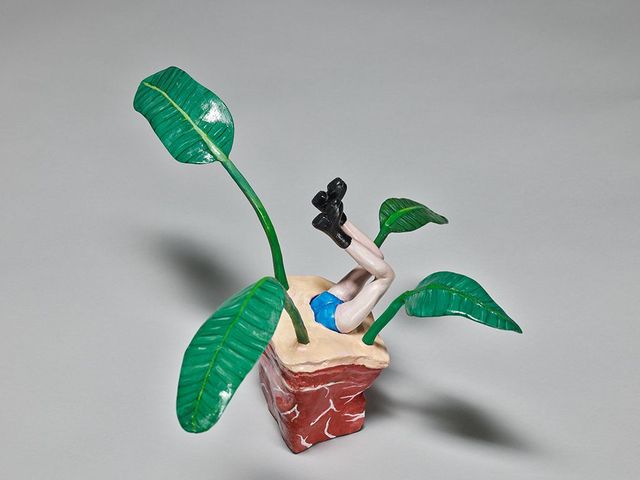 《倒插人》植栽系列-天堂鳥